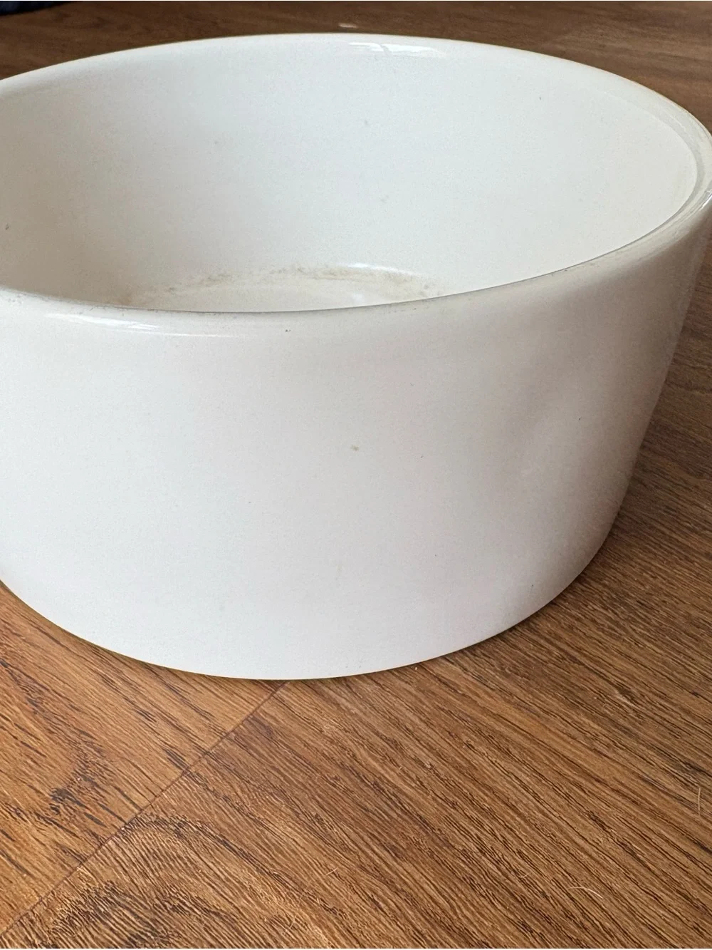Rae Dunn BARK ceramic dog bowl